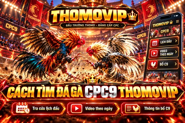 Cách tìm đá gà CPC9 THOMOVIP, tra cứu lịch đấu, video theo ngày và thông tin bồ Thomo C9.