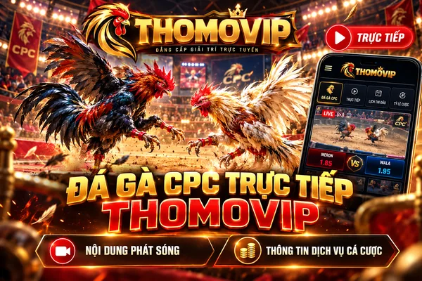 Đá gà CPC trực tiếp THOMOVIP với hình ảnh thi đấu Thomo, livestream và thông tin dịch vụ cá cược.