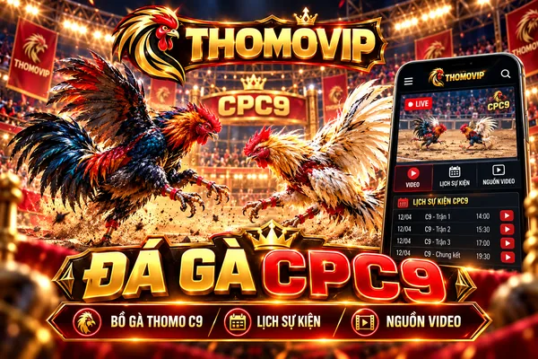 Đá gà CPC9 THOMOVIP tại bồ Thomo C9 với hình ảnh gà cựa sắt, lịch sự kiện và nguồn video trực tiếp.