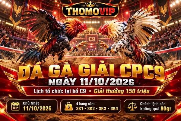 Đá gà giải CPC9 ngày 11/10/2026 tại bồ C9 với hình ảnh hai chiến kê, giải thưởng 150 triệu và thương hiệu THOMOVIP.