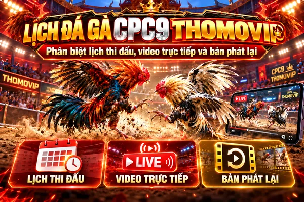 Lịch đá gà CPC9 Thomo THOMOVIP với lịch thi đấu, video trực tiếp và bản phát lại.