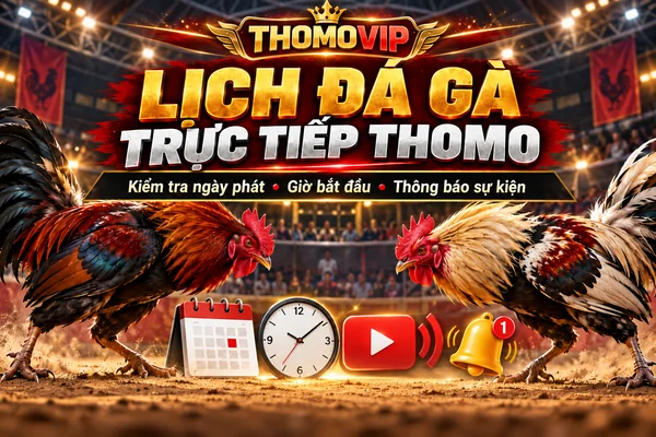 Lịch Đá Gà Trực Tiếp Thomo THOMOVIP – Ngày Phát Và Giờ Bắt Đầu Lịch đá gà trực tiếp Thomo THOMOVIP với ngày phát sóng, giờ bắt đầu và thông báo sự kiện.