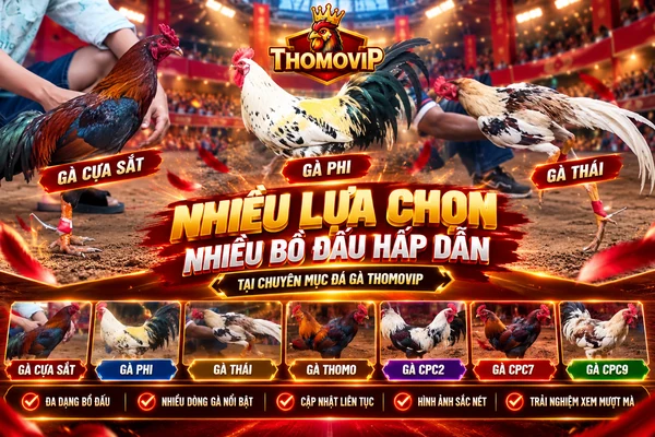 Đá gà THOMOVIP với nhiều lựa chọn gồm gà cựa sắt, gà Phi, gà Thái, CPC2, CPC7 và CPC9