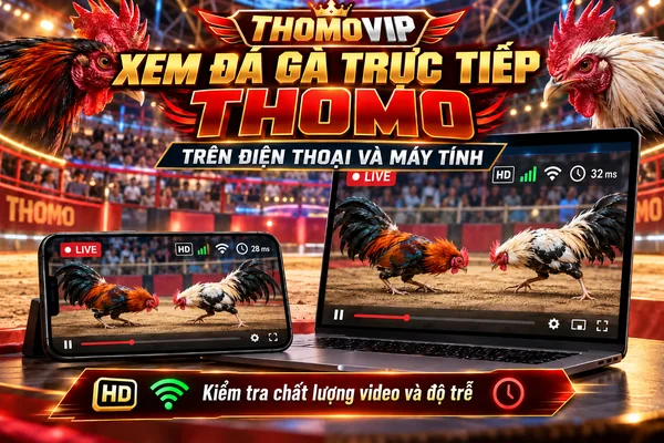 Xem Đá Gà Trực Tiếp Thomo THOMOVIP Trên Điện Thoại Và Máy Tính Xem đá gà trực tiếp Thomo THOMOVIP trên điện thoại và máy tính, kiểm tra chất lượng video và độ trễ.